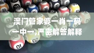 澳门管家婆一肖一码一中一,严密解答解释落实_LAY8.37.65付费版