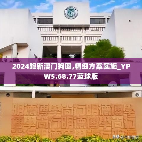 2024跑新澳门狗图,精细方案实施_YPW5.68.77蓝球版