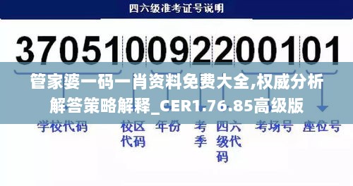 管家婆一码一肖资料免费大全,权威分析解答策略解释_CER1.76.85高级版