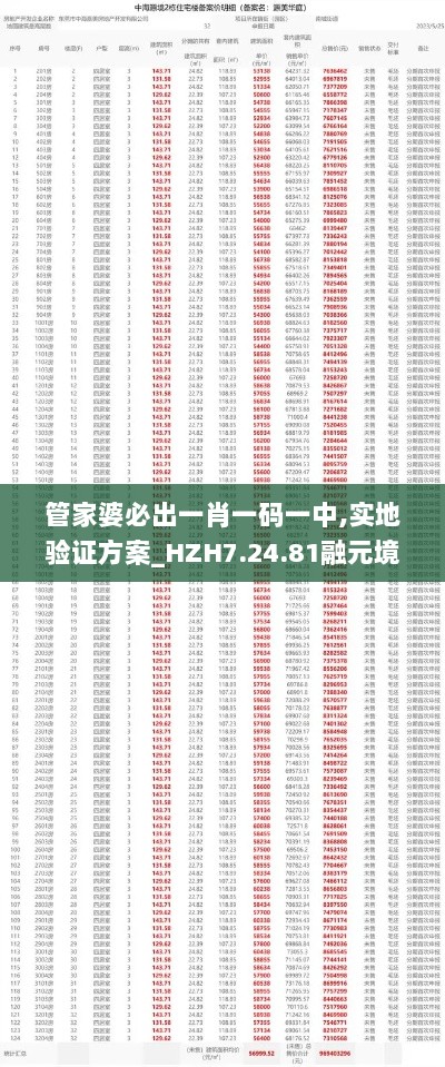 管家婆必出一肖一码一中,实地验证方案_HZH7.24.81融元境