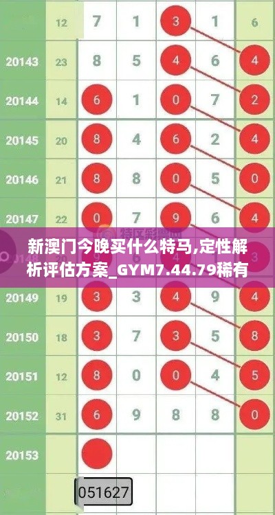 新澳门今晚买什么特马,定性解析评估方案_GYM7.44.79稀有版