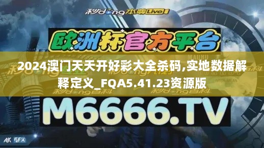 2024澳门天天开好彩大全杀码,实地数据解释定义_FQA5.41.23资源版