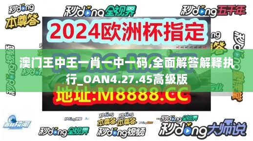 澳门王中王一肖一中一码,全面解答解释执行_OAN4.27.45高级版