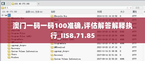 澳门一码一码100准确,评估解答解释执行_IIS8.71.85