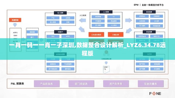 一肖一码一一肖一子深圳,数据整合设计解析_LYZ6.34.78远程版