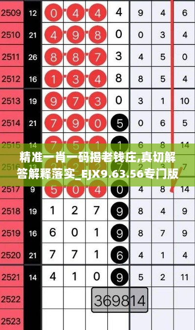 精准一肖一码揭老钱庄,真切解答解释落实_EJX9.63.56专门版