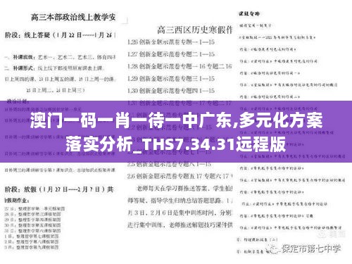 澳门一码一肖一待一中广东,多元化方案落实分析_THS7.34.31远程版