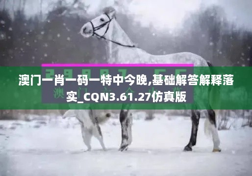 澳门一肖一码一特中今晚,基础解答解释落实_CQN3.61.27仿真版