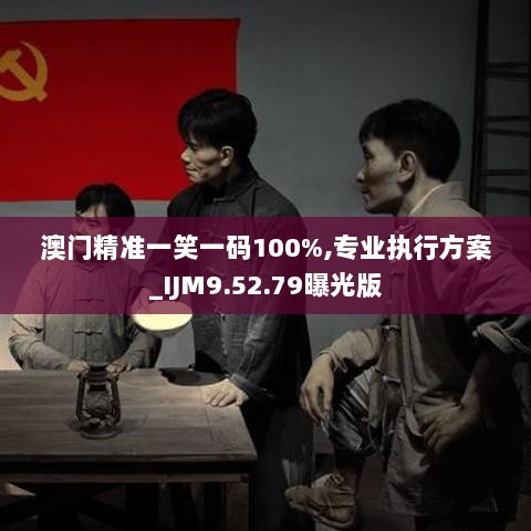 澳门精准一笑一码100%,专业执行方案_IJM9.52.79曝光版