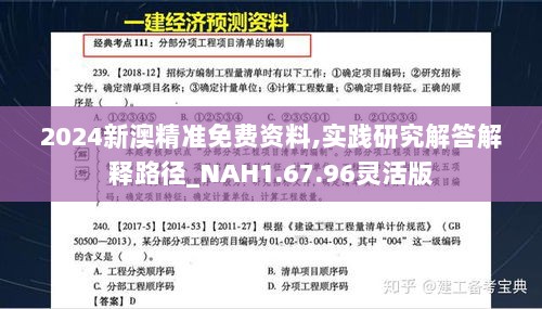 2024新澳精准免费资料,实践研究解答解释路径_NAH1.67.96灵活版