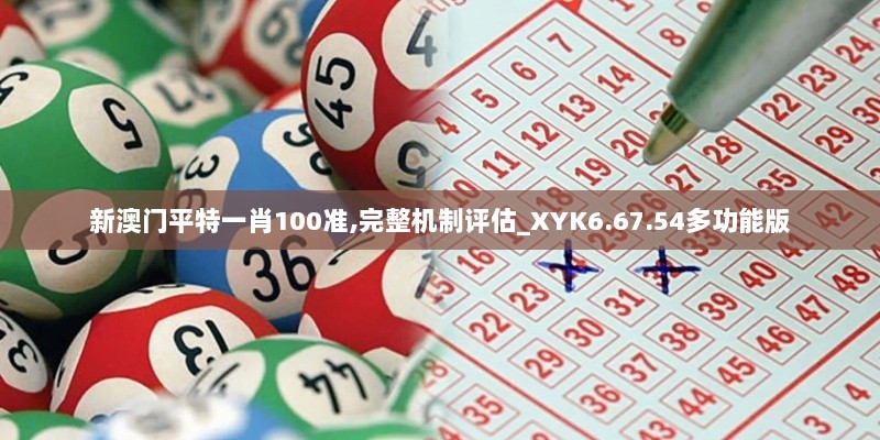 新澳门平特一肖100准,完整机制评估_XYK6.67.54多功能版