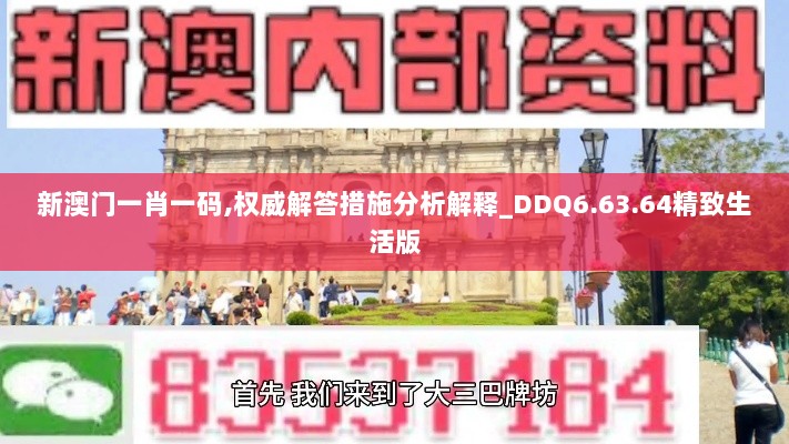 新澳门一肖一码,权威解答措施分析解释_DDQ6.63.64精致生活版