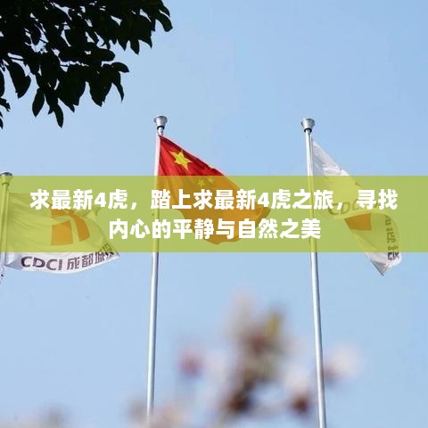 寻找内心平静与自然之美的求最新4虎之旅