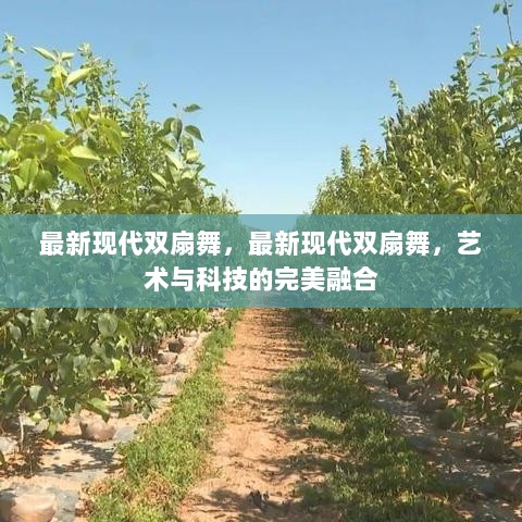 现代双扇舞，艺术与科技的完美融合