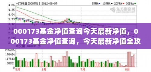 000173基金今日最新净值查询及全攻略