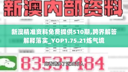 新澳精准资料免费提供510期,跨界解答解释落实_YOP1.75.21炼气境