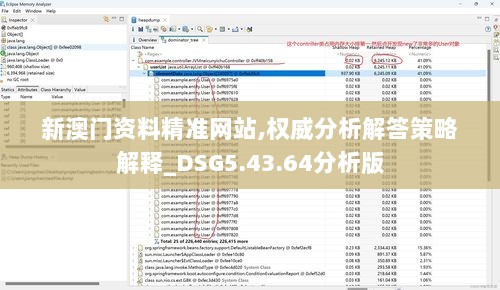 新澳门资料精准网站,权威分析解答策略解释_DSG5.43.64分析版