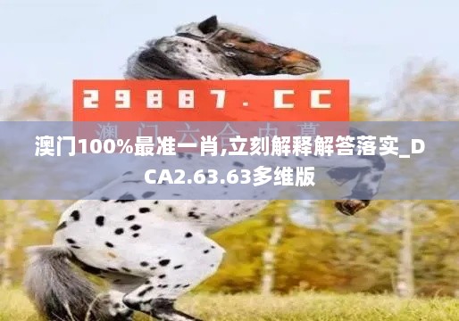 澳门100%最准一肖,立刻解释解答落实_DCA2.63.63多维版