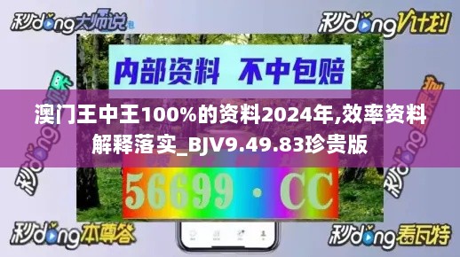 澳门王中王100%的资料2024年,效率资料解释落实_BJV9.49.83珍贵版