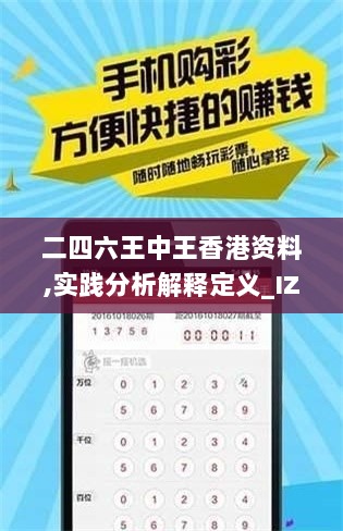 二四六王中王香港资料,实践分析解释定义_IZK7.66.71网页版