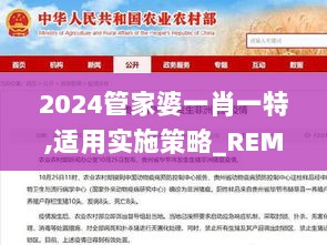 2024管家婆一肖一特,适用实施策略_REM1.59.77炼皮境