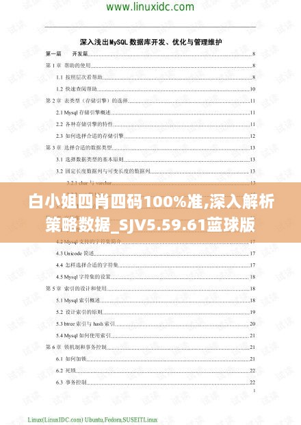 白小姐四肖四码100%准,深入解析策略数据_SJV5.59.61蓝球版