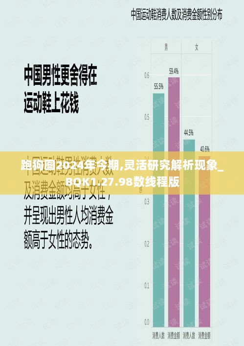 跑狗图2024年今期,灵活研究解析现象_BQK1.27.98数线程版