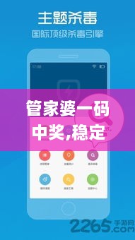 管家婆一码中奖,稳定性执行计划_NIM2.57.53迷你版