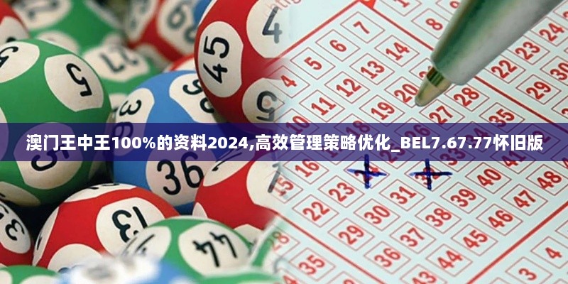 澳门王中王100%的资料2024,高效管理策略优化_BEL7.67.77怀旧版