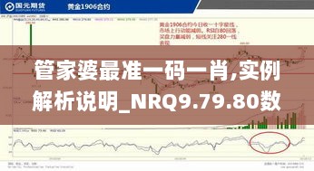 管家婆最准一码一肖,实例解析说明_NRQ9.79.80数字处理版