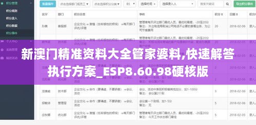 新澳门精准资料大全管家婆料,快速解答执行方案_ESP8.60.98硬核版