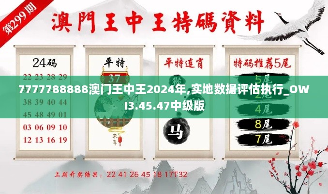 7777788888澳门王中王2024年,实地数据评估执行_OWI3.45.47中级版