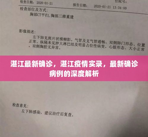 湛江疫情实录，最新确诊病例深度解析