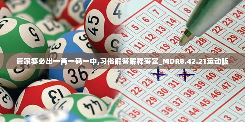 管家婆必出一肖一码一中,习俗解答解释落实_MDR8.42.21运动版