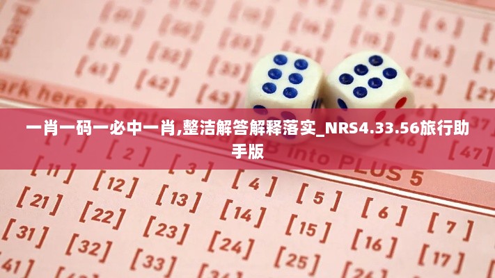 一肖一码一必中一肖,整洁解答解释落实_NRS4.33.56旅行助手版