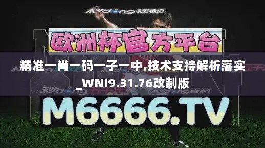 精准一肖一码一子一中,技术支持解析落实_WNI9.31.76改制版