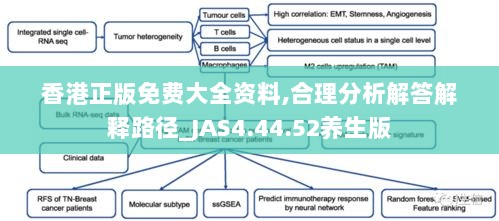 香港正版免费大全资料,合理分析解答解释路径_JAS4.44.52养生版