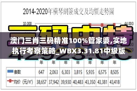 澳门三肖三码精准100%管家婆,实地执行考察策略_WBX3.31.81中级版