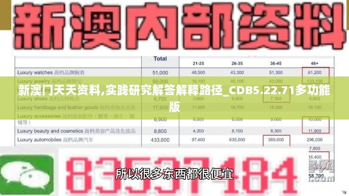 新澳门天天资料,实践研究解答解释路径_CDB5.22.71多功能版