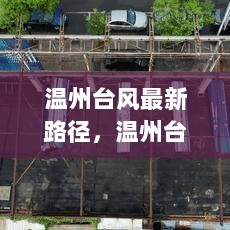 温州台风最新路径及应对策略分析