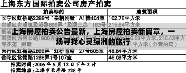 上海房屋拍卖新篇章，寻找心灵绿洲的旅行之旅