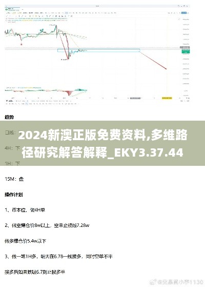 2024新澳正版免费资料,多维路径研究解答解释_EKY3.37.44掌中宝