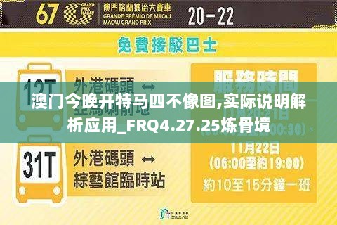 澳门今晚开特马四不像图,实际说明解析应用_FRQ4.27.25炼骨境