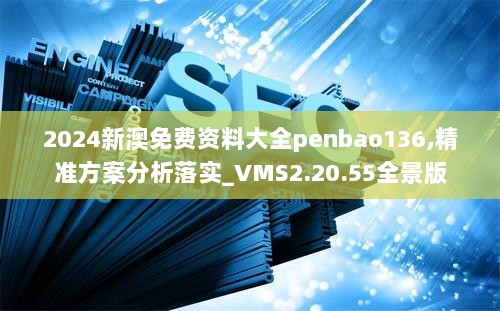 2024新澳免费资料大全penbao136,精准方案分析落实_VMS2.20.55全景版