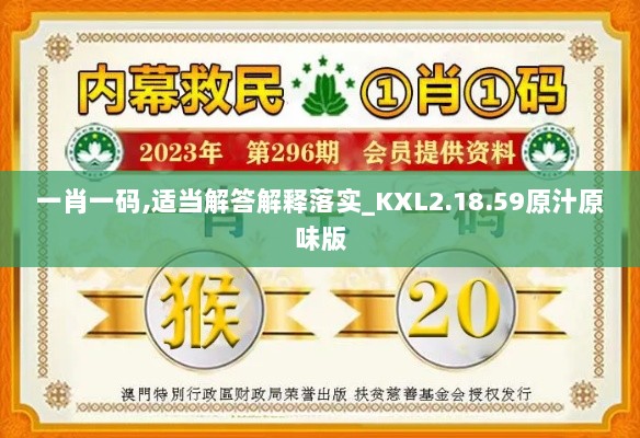 一肖一码,适当解答解释落实_KXL2.18.59原汁原味版