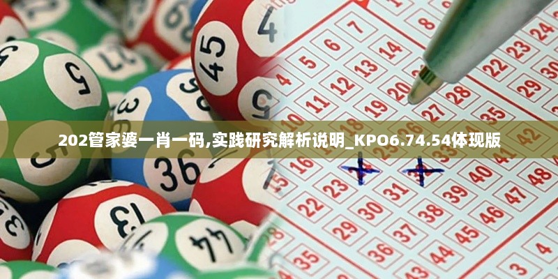 202管家婆一肖一码,实践研究解析说明_KPO6.74.54体现版