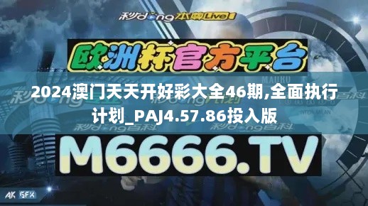 2024澳门天天开好彩大全46期,全面执行计划_PAJ4.57.86投入版