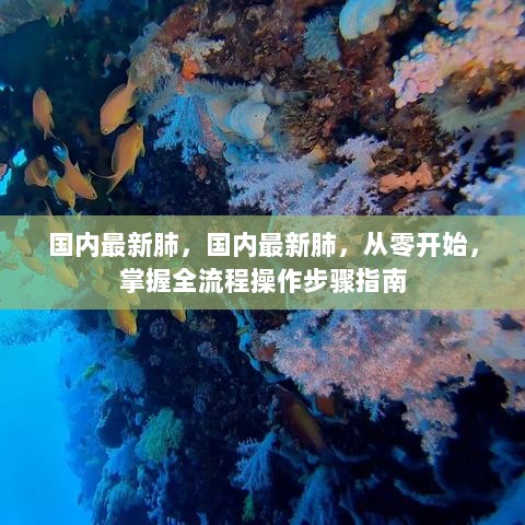 国内最新肺部健康管理，全流程操作步骤指南（从零开始）