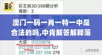 澳门一码一肖一特一中是合法的吗,中肯解答解释落实_FIC9.71.63VR版