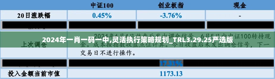 2024年一肖一码一中,灵活执行策略规划_TRL3.29.25严选版